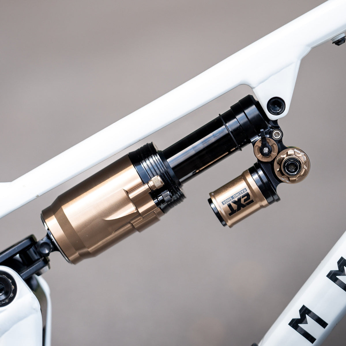 EXT ARIA V2, MTB, New Zealand, Suspension 
